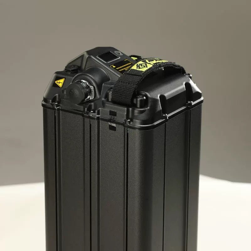 light-bee-s-lithium-battery-48v20ah-639027_800x800