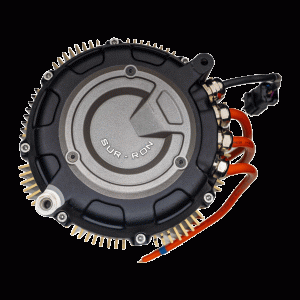 Storm Bee Motor Assembly