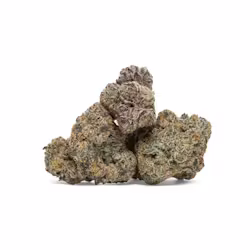 3680114_3235084_934949_Sherbi_MG_3.5G_7500